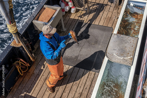 Fotografie Fisherman with fish in the hands on a commercial fishing boat