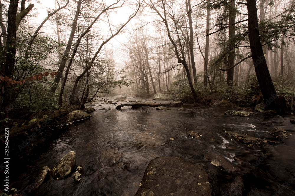 Obraz premium Harriman