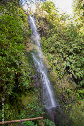 Waterfall beside the hiking trail on the Levada Caldeirao Verde near Santana on the island of Madeira, Portugal. © Thomas Marchhart