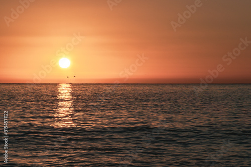 Sunrise over the sea with birds in Acitrezza  Sicily - Italy