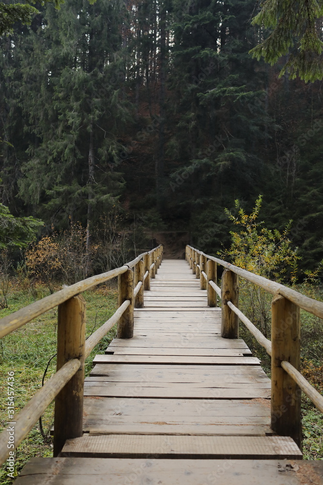 wooden bridge to cross the lake Synevyr in the forest in Ukraine