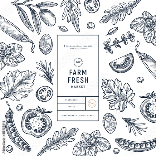 Various vegetables on white background. Growing concept. Organic fresh vegetables. Packaging design template. Vector illustration