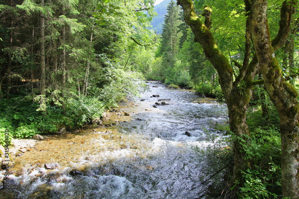 Spaziergang am Wildbach in Schladming Spaziergang am Wildbach in Schladming