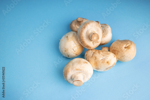 Bunch of fresh champignon mushrooms on the blue background. Close up of vegetarian healthy food.