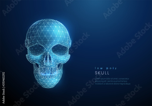 Abstract human skull. Low poly style design