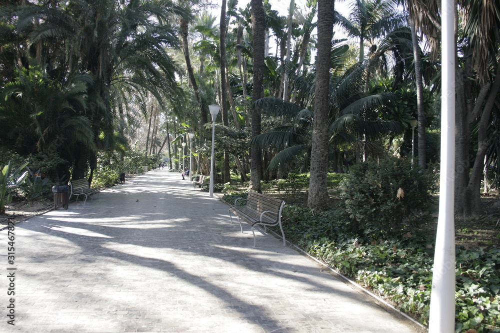 Fototapeta premium city ​​of the coast, tourism and recreation