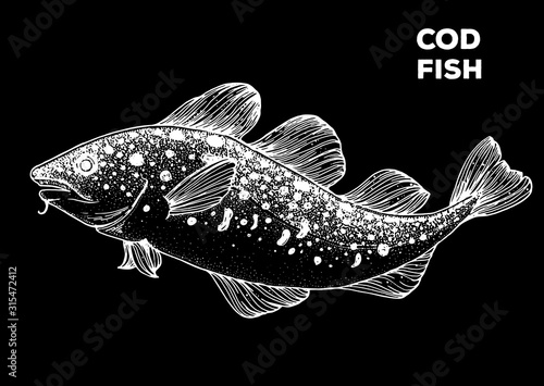 Cod fish sketch. Hand drawn vector illustration. Seafood design element for packaging. Engraved style illustration. Can used for packaging design. Cod fish label