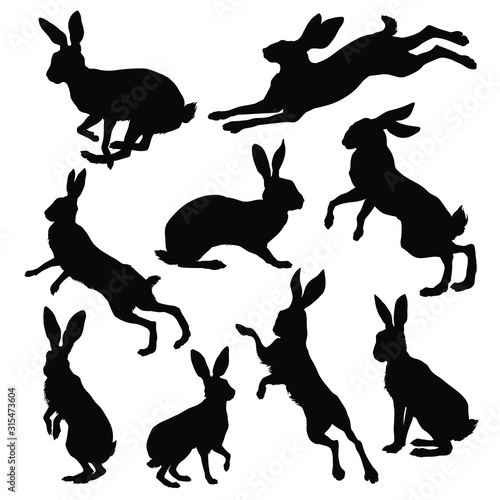 Tablou canvas Hare silhouette set. Vector illustration