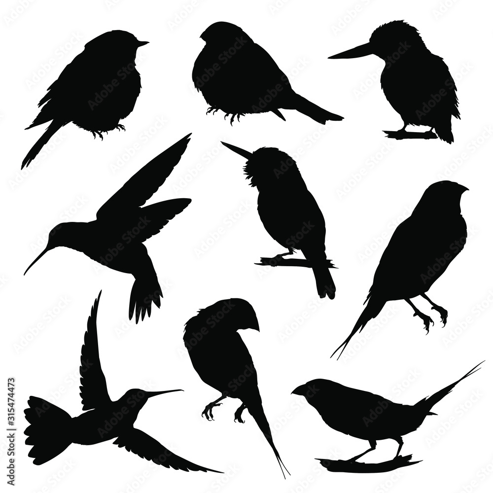 Obraz premium Bird silhouettes. Vector illustration
