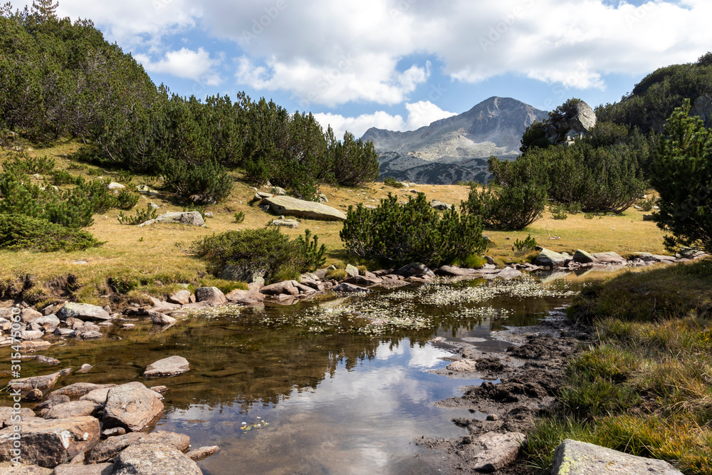 Fototapeta premium Mountain river and Banderishki Chukar Peak, Pirin Mountain