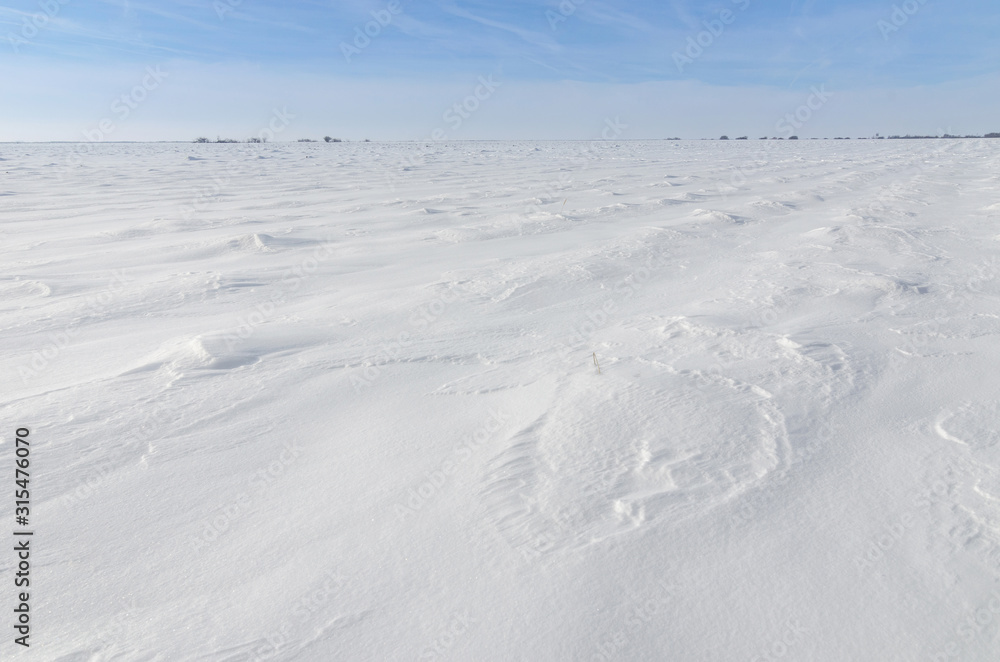 Patterns on a fresh snow texture on a field