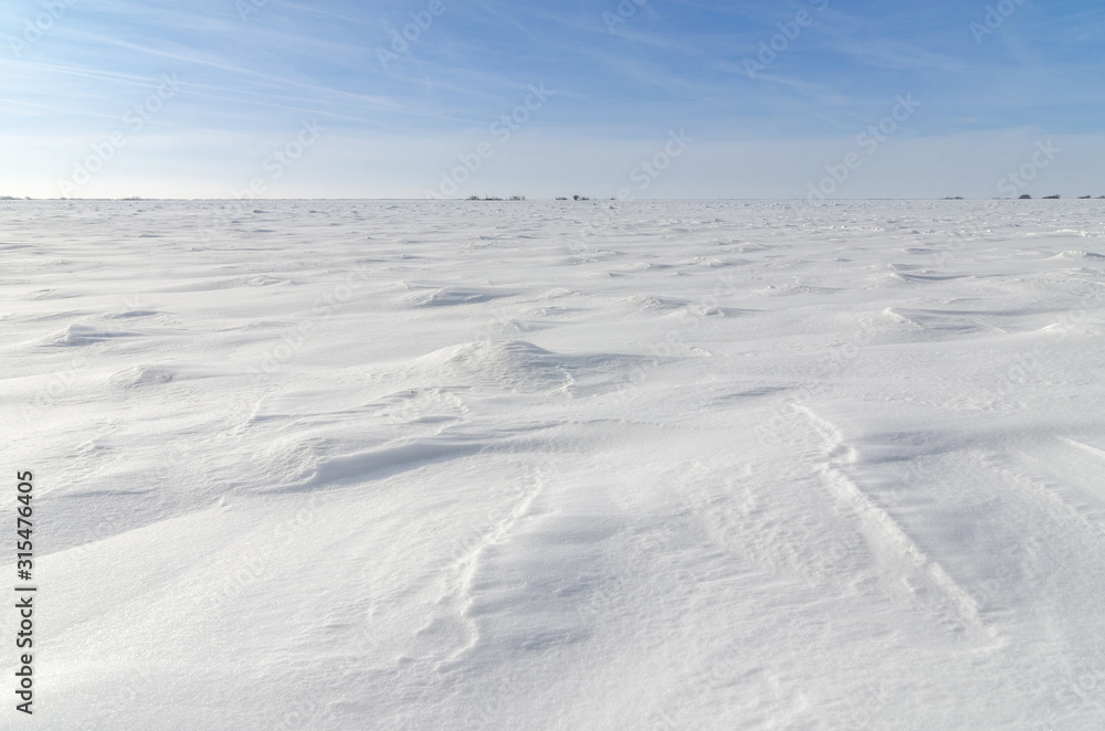 Patterns on a fresh snow texture on a field