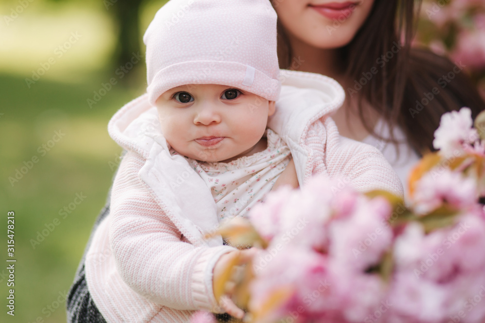 Mother show firs time to her daughter pink tree. Happy baby hold branch of sakura Mother show firs time to her daughter pink tree. Happy baby hold branch of sakura