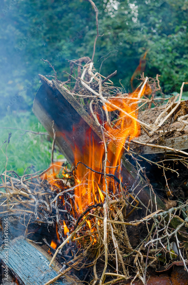 Farmer burns green waste in the concept of bonfire, bonfire outdoors, agriculture. Fallen leaves, branches and household trash burns in an autumn fire Farmer burns green waste in the concept of bonfire, bonfire outdoors, agriculture. Fallen leaves, branches and household trash burns in an autumn fire