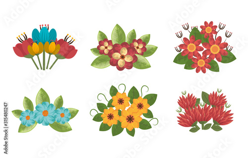 bundle of flowers naturals icons vector illustration design