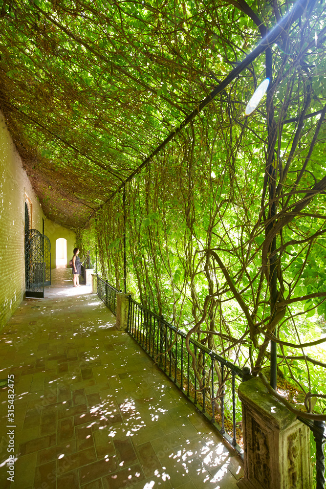 The green corridor of Alcazar de Seville, Spain