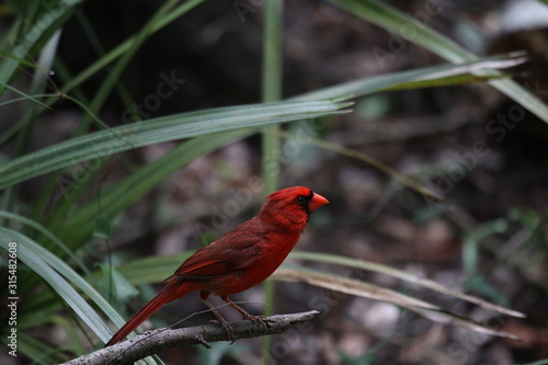 Nature is Florida's Treasure