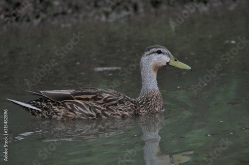 Nature is Florida's Treasure