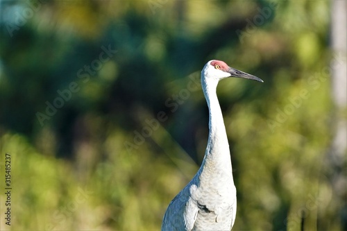 Nature contact is Quality of Life