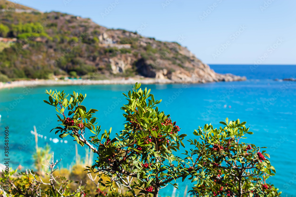 View of the  beach in the Isle of Elba, Tuscany, Italy