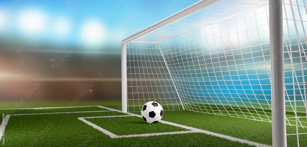 Fototapeta premium soccer football ball and soccer goal 3d-illustration