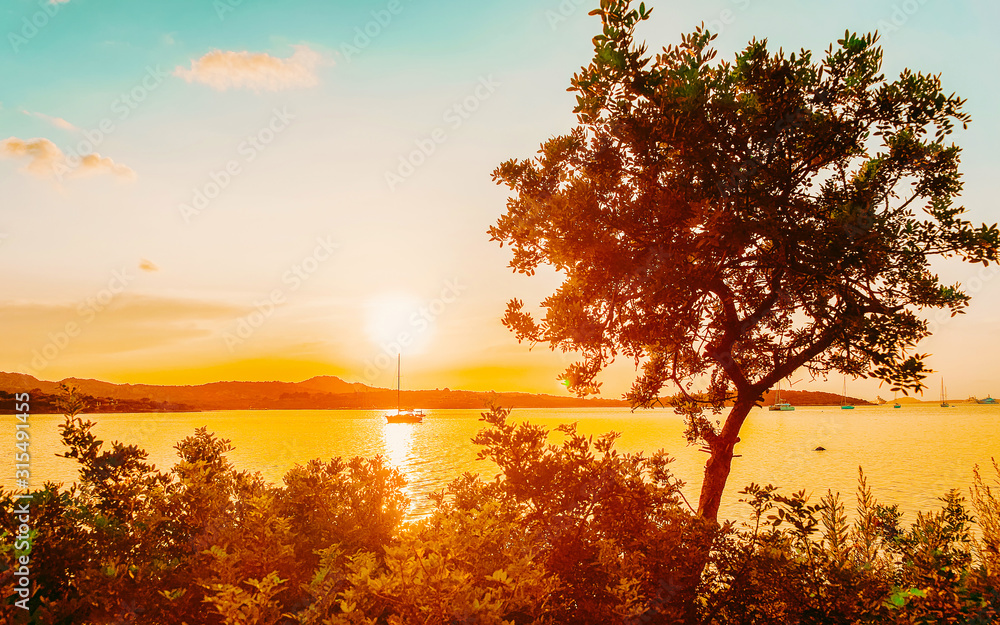 Sunrise or sunset with yachts at Porto Rotondo on at Mediterranean sea in Sardinia island of Italy. Boat in Sardegna in summer. Landscape of Olbia province. Mixed media. Sunrise or sunset with yachts at Porto Rotondo on at Mediterranean sea in Sardinia island of Italy. Boat in Sardegna in summer. Landscape of Olbia province. Mixed media.