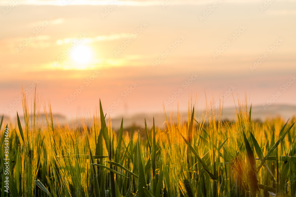 Sonnenaufgang Feld Landschaft Sonnenaufgang Feld Landschaft