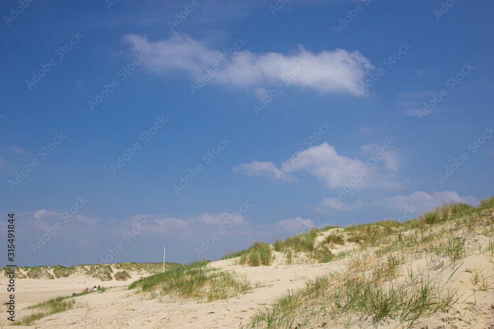 sand dunes of Island Romo, western Denmark