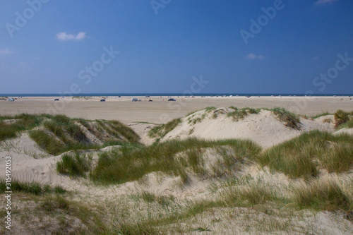 sand dunes of Island Romo  western Denmark