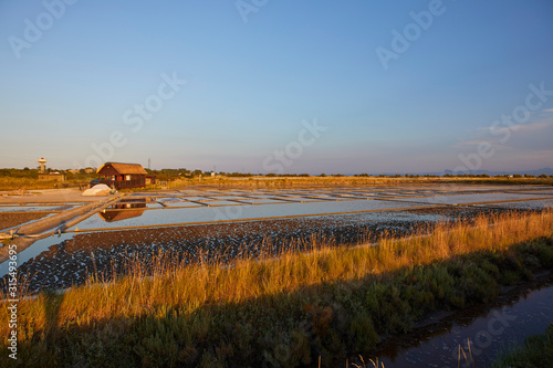 Salt fields at sunset in Cervia  Ravenna Province  Italy