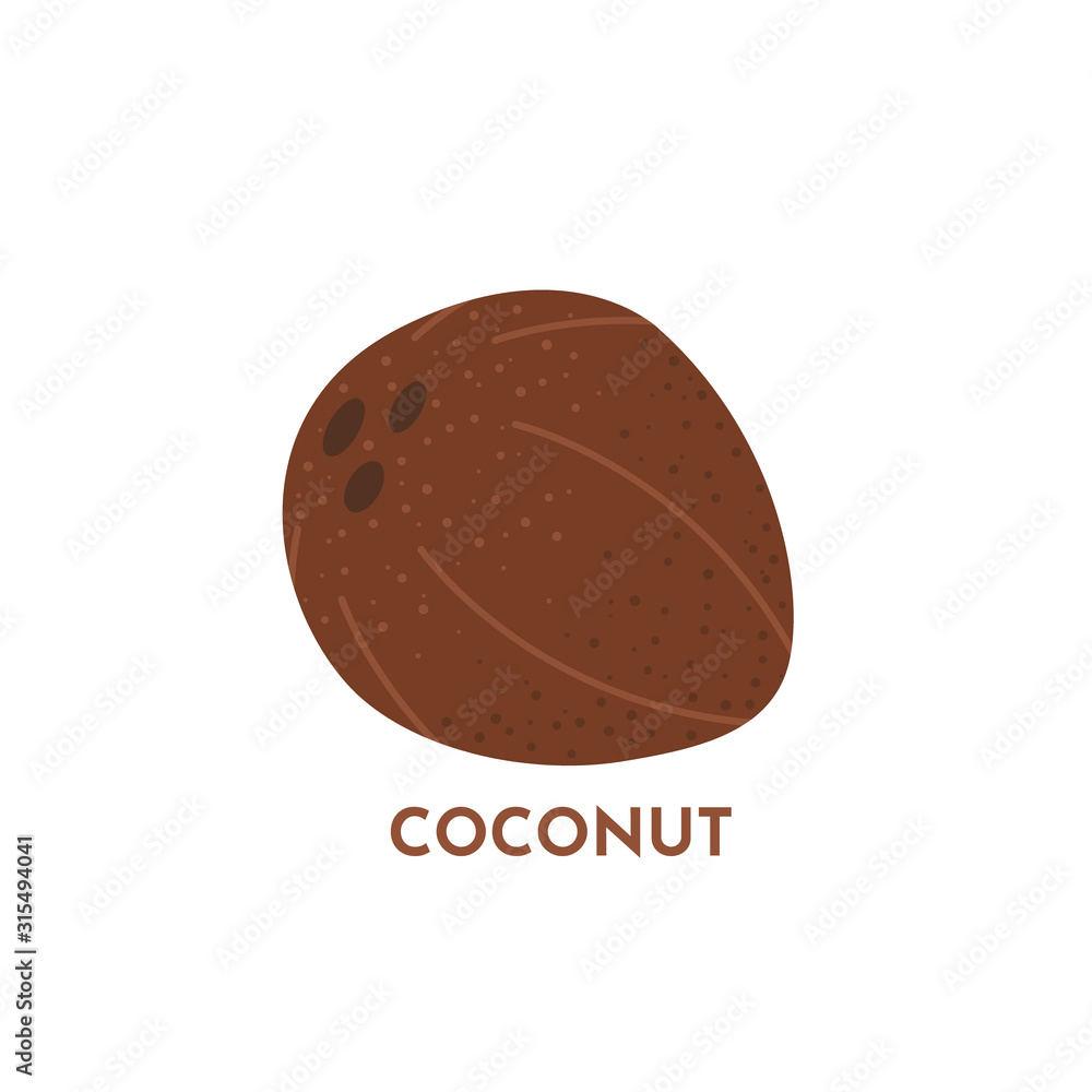 Coconut fruit vector tropical food illustration. Textured whole coco with isolated on white background. Vegan production. Coconut fruit vector tropical food illustration. Textured whole coco with isolated on white background. Vegan production.