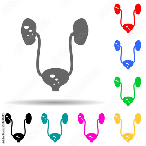 Kidney, stone multi color style icon. Simple glyph, flat vector of pain people icons for ui and ux, website or mobile application