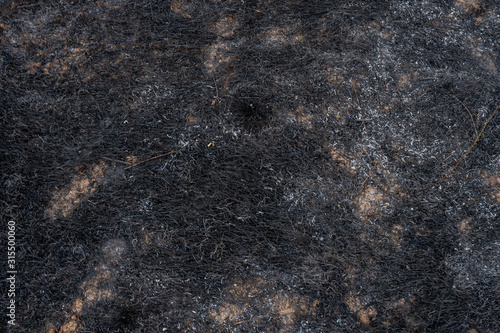 Black ash of burned grass on the hill. Background texture, close up