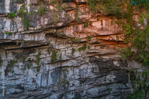 Basement of Las Golondrinas (Hirundo rustica) is a natural abyss located in the town of Aquismón belonging to the Mexican state of San Luis Potosí