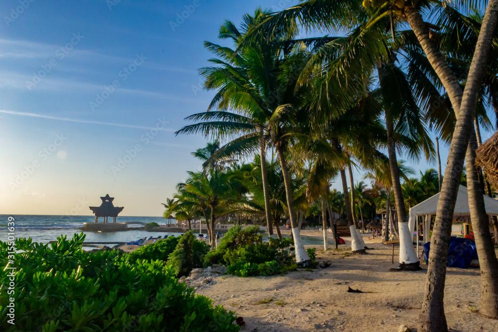 Fototapeta premium Tropical beach in sunny day