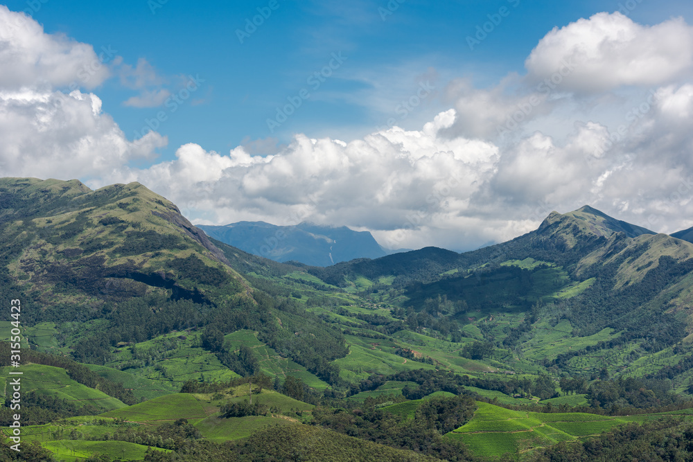 Scenic view over Eravikulam National Park tea plantations in Kerala, South India on sunny day