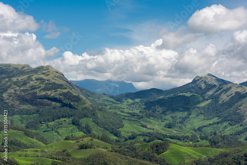 Scenic view over Eravikulam National Park tea plantations in Kerala, South India on sunny day © Robert Ruidl
