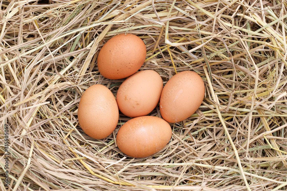 many brown eggs on rice straw.The benefits of egg are rich in vitamins and minerals of various types, such as B vitamins, vitamin C, vitamin D, vitamin E, vitamin K.