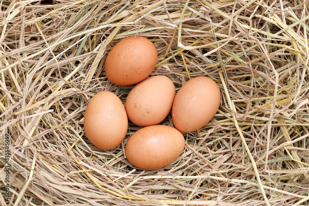 many brown eggs on rice straw.The benefits of egg are rich in vitamins and minerals of various types, such as B vitamins, vitamin C, vitamin D, vitamin E, vitamin K. many brown eggs on rice straw.The benefits of egg are rich in vitamins and minerals of various types, such as B vitamins, vitamin C, vitamin D, vitamin E, vitamin K.