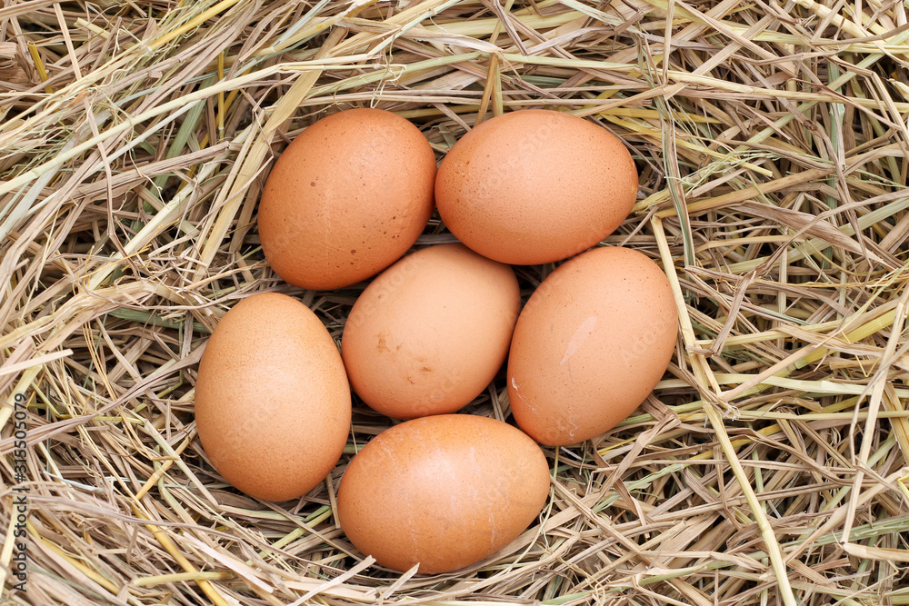 many brown eggs on rice straw.The benefits of egg are rich in vitamins and minerals of various types, such as B vitamins, vitamin C, vitamin D, vitamin E, vitamin K.