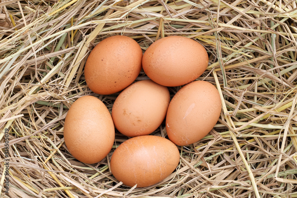 many brown eggs on rice straw.The benefits of egg are rich in vitamins and minerals of various types, such as B vitamins, vitamin C, vitamin D, vitamin E, vitamin K. many brown eggs on rice straw.The benefits of egg are rich in vitamins and minerals of various types, such as B vitamins, vitamin C, vitamin D, vitamin E, vitamin K.