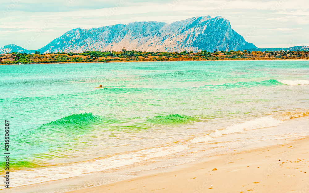 Landscape with La Cinta beach and Mediterranean Sea and Tavolara Island in Sardinia on Italy in summer. Scenery view on Sardinian beach in Sardegna. Olbia province. Mixed media.