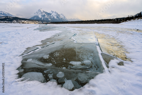 Fototapeta Naklejka Na Ścianę i Meble -  Trapped methane bubbles frozen into the water under the thick cracked and folded ice on Abraham Lake, located in the Kootenay Plains area of the Canadian Rockies, western Alberta, Canada