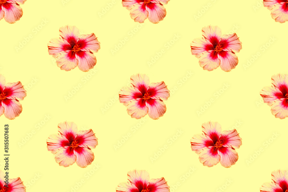 Seamless pattern of drawing flower on green background