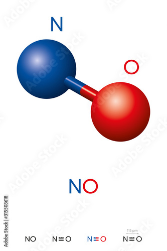Nitric oxide, NO, molecule model and chemical formula. Nitrogen oxide, nitrogen monoxide or  Oxidonitrogen. Ball-and-stick model, geometric structure and structural formula. Illustration. Vector.