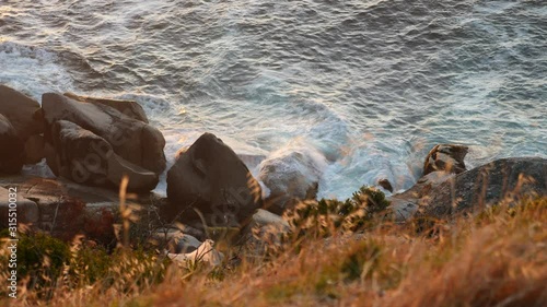 Waves crashing against the rocks in Cape Town South Africa