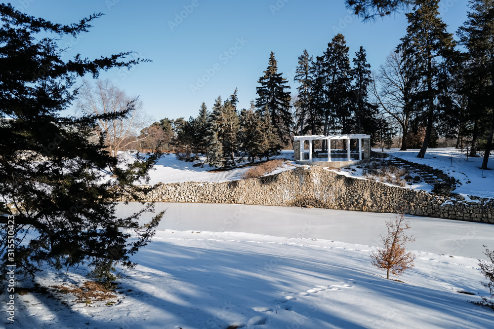 outdoor winter scene with pine trees and snow outdoor winter scene with pine trees and snow