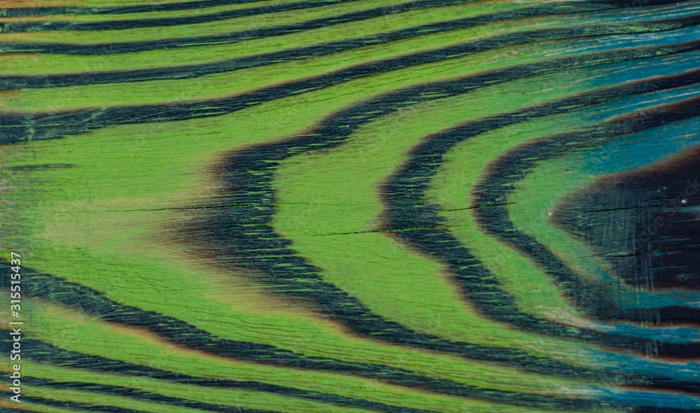 Fototapeta premium Texture of old tree with beautiful pattern