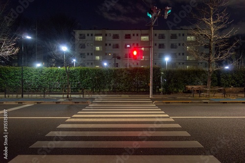Stampa su tela 夜の日本の横断歩道