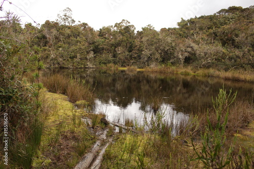 Lago de paramo